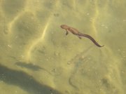 6.24-25.06 Memaloose Lake 055 